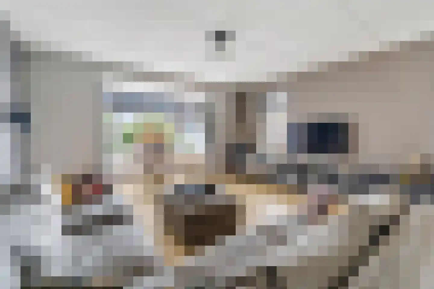Slagerswerf 2 Dedemsvaart thumbnail 7