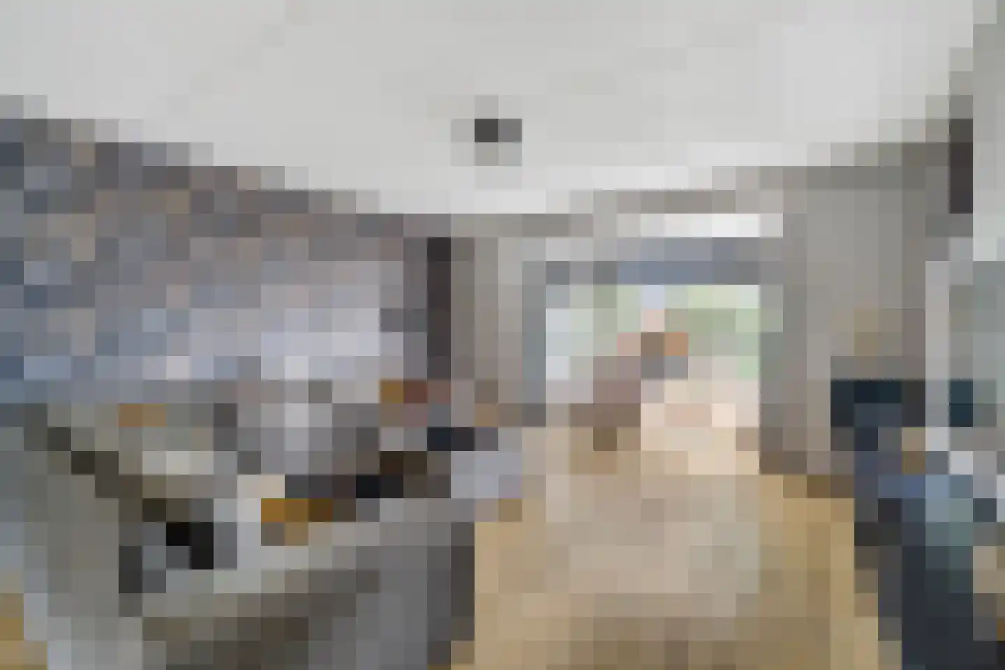 Slagerswerf 2 Dedemsvaart thumbnail 8