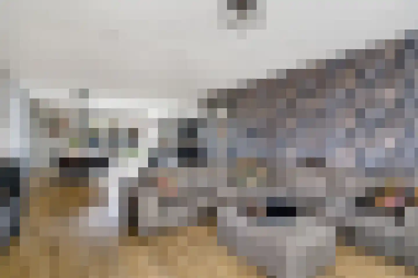 Slagerswerf 2 Dedemsvaart thumbnail 9