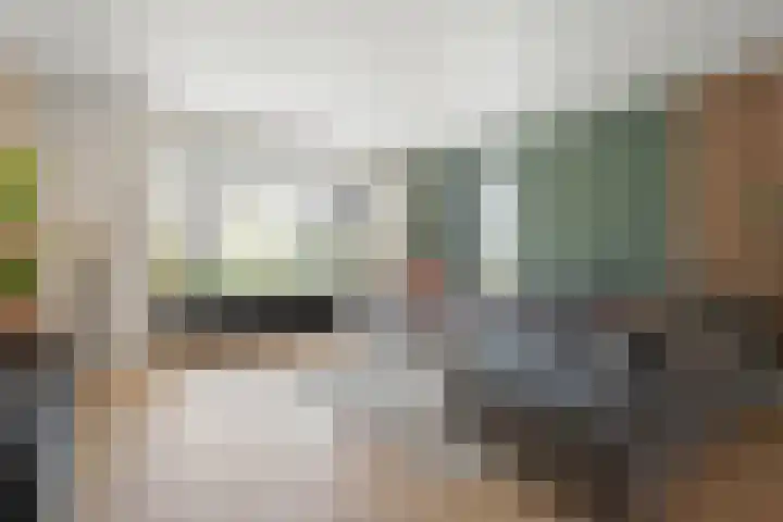 Slagerswerf 6 Dedemsvaart thumbnail 10