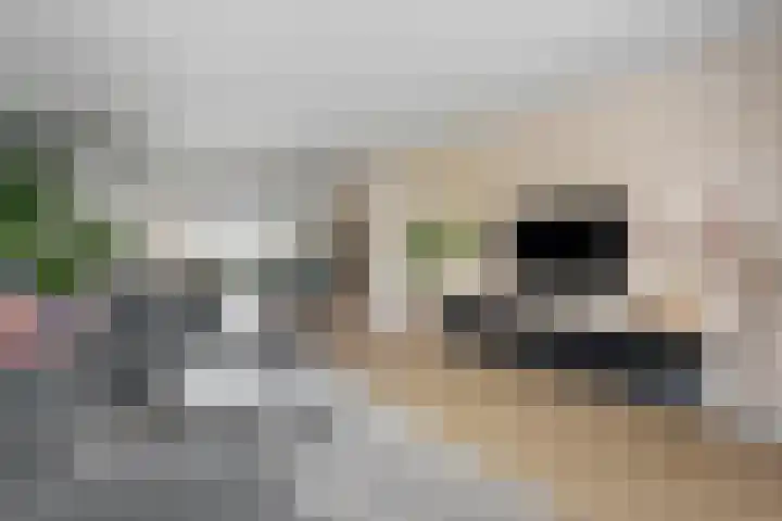 Slagerswerf 6 Dedemsvaart thumbnail 11