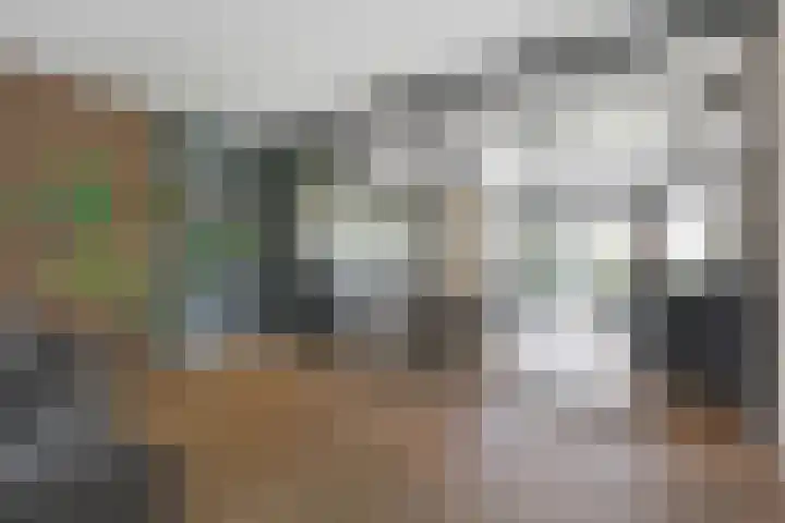 Slagerswerf 6 Dedemsvaart thumbnail 14