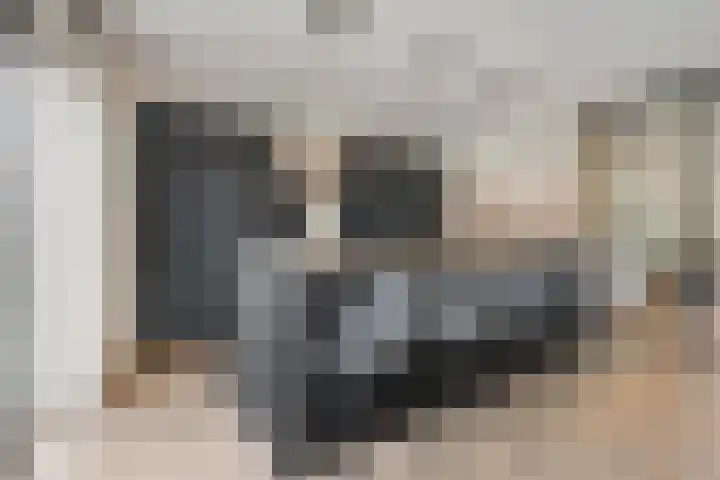 Slagerswerf 6 Dedemsvaart thumbnail 19