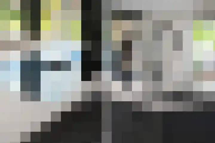 Slagerswerf 6 Dedemsvaart thumbnail 23
