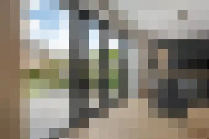 Slagerswerf 6 Dedemsvaart thumbnail 25