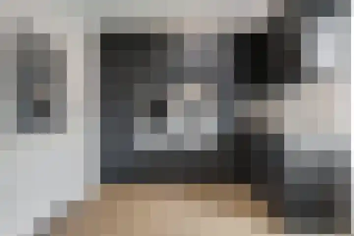 Slagerswerf 6 Dedemsvaart thumbnail 27