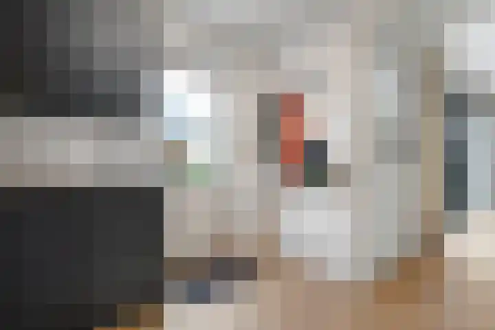 Slagerswerf 6 Dedemsvaart thumbnail 28