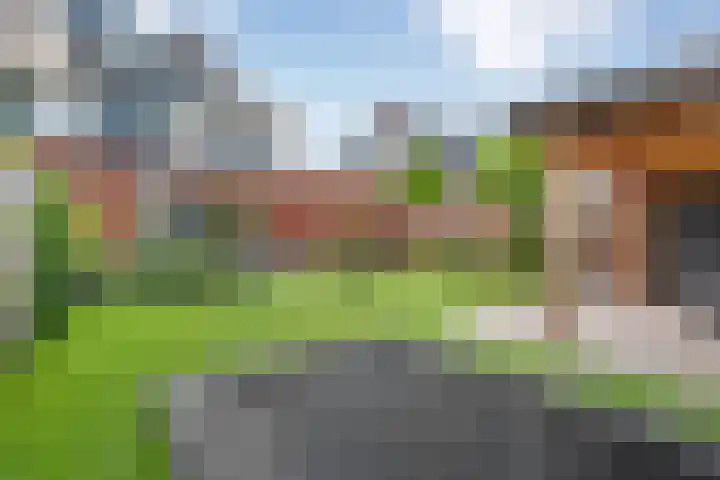 Slagerswerf 6 Dedemsvaart foto 3