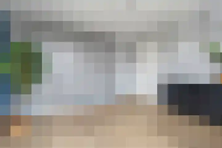 Slagerswerf 6 Dedemsvaart thumbnail 31