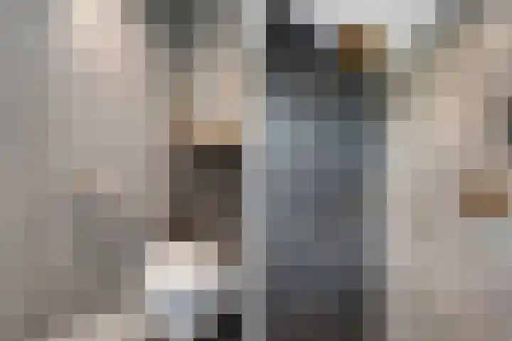 Slagerswerf 6 Dedemsvaart thumbnail 36