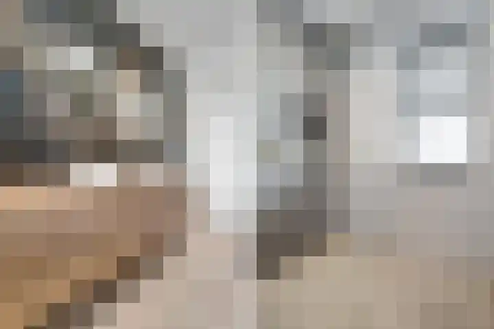 Slagerswerf 6 Dedemsvaart thumbnail 40