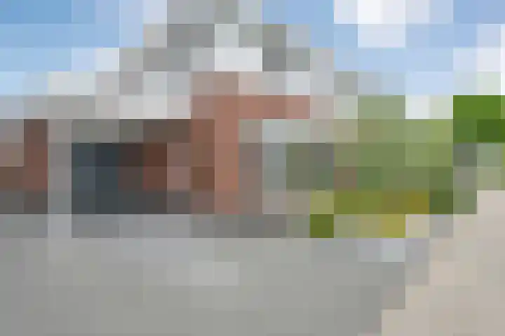 Slagerswerf 6 Dedemsvaart thumbnail 5
