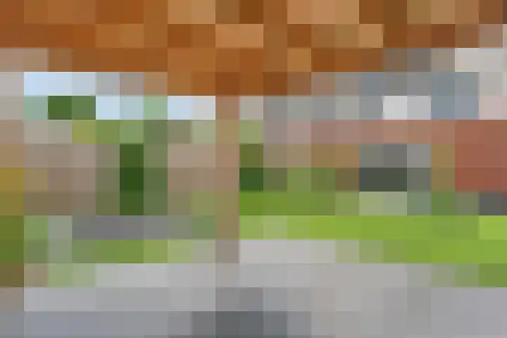 Slagerswerf 6 Dedemsvaart thumbnail 54