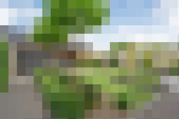 Slagerswerf 6 Dedemsvaart thumbnail 60
