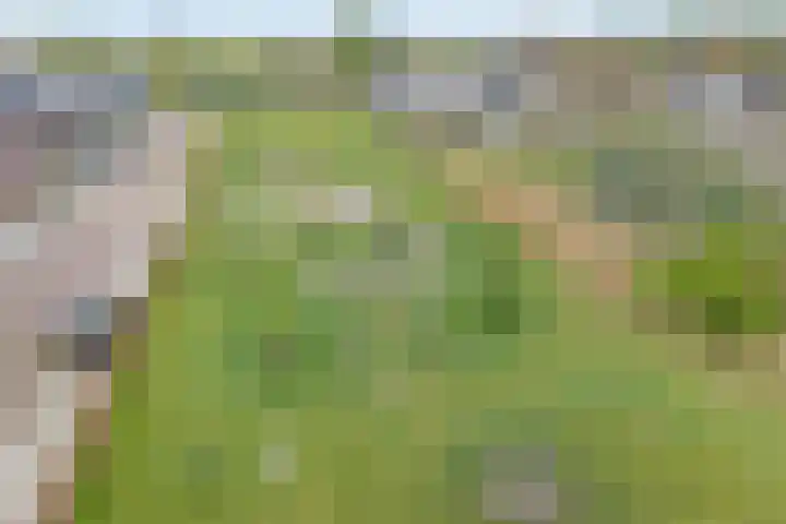 Slagerswerf 6 Dedemsvaart thumbnail 66