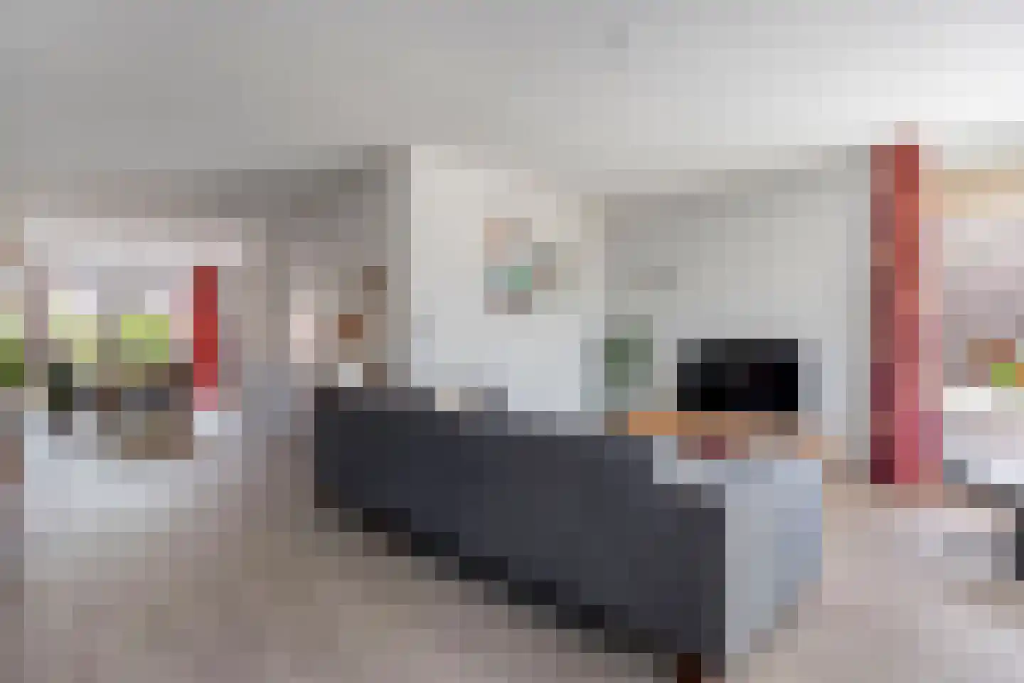 Slagerswerf 7 Dedemsvaart thumbnail 15