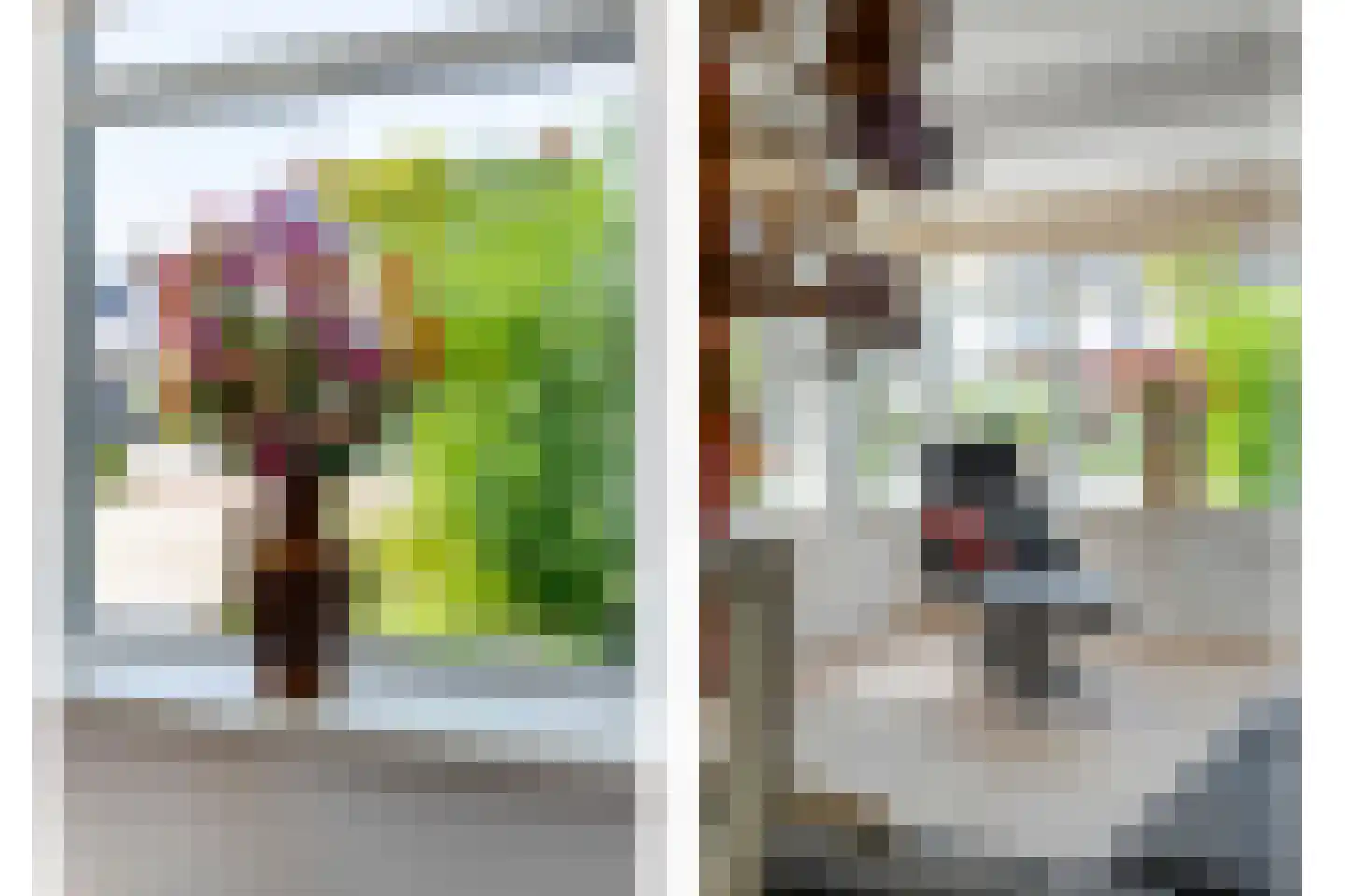 Slagerswerf 7 Dedemsvaart thumbnail 22