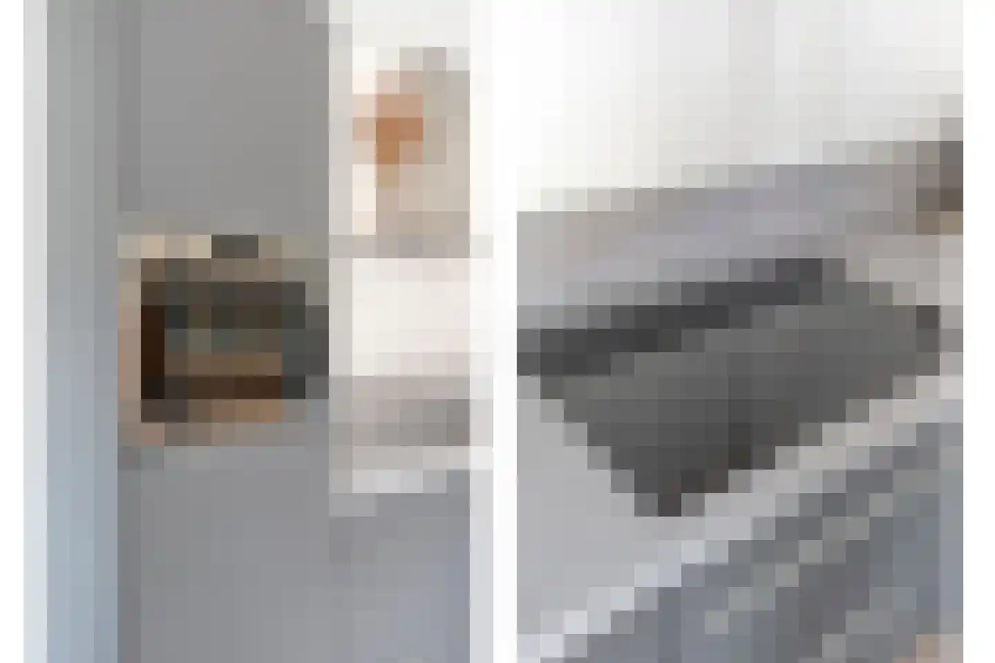 Slagerswerf 7 Dedemsvaart thumbnail 25