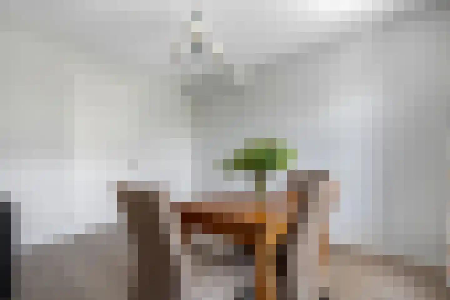 Slagerswerf 7 Dedemsvaart thumbnail 28