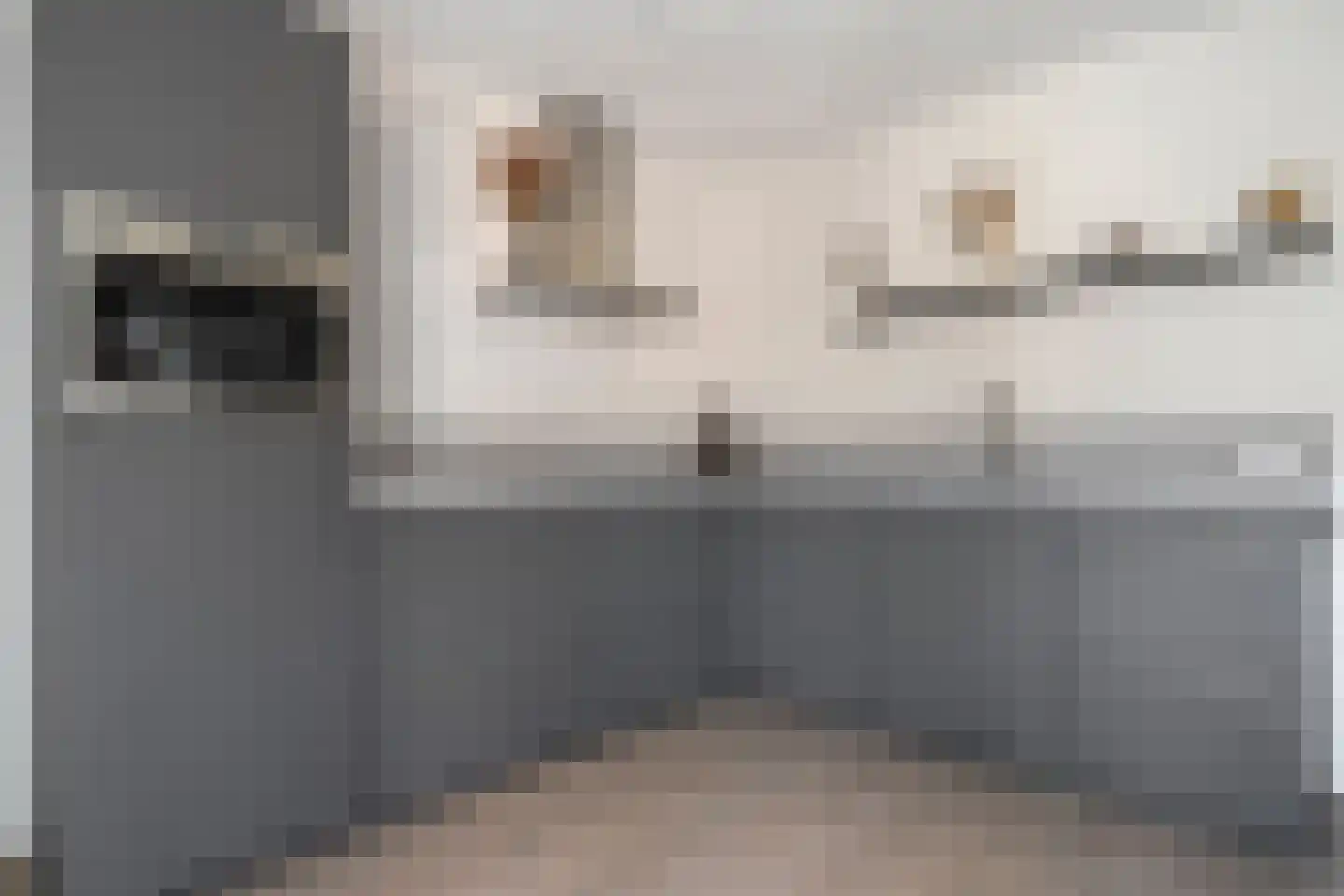 Slagerswerf 7 Dedemsvaart thumbnail 29