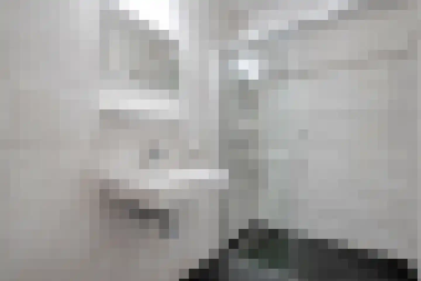 Slagerswerf 7 Dedemsvaart thumbnail 30