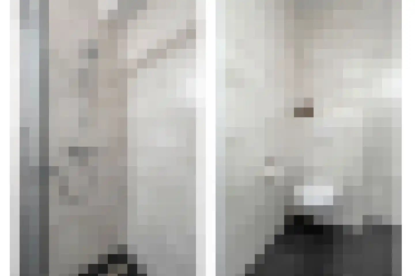 Slagerswerf 7 Dedemsvaart thumbnail 31