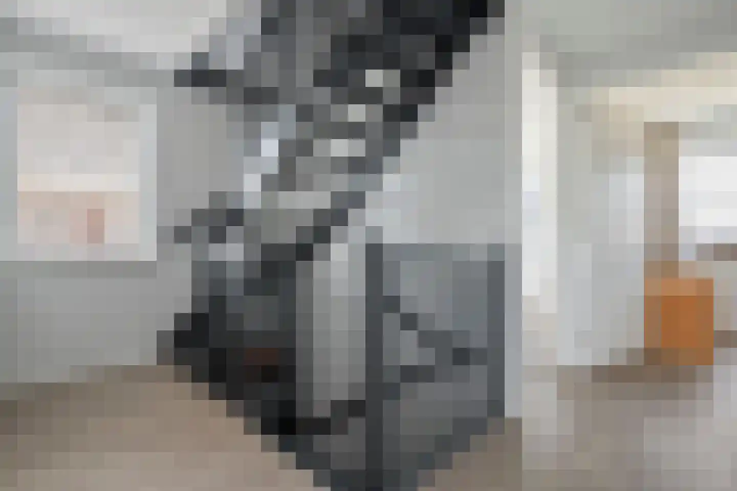 Slagerswerf 7 Dedemsvaart thumbnail 33