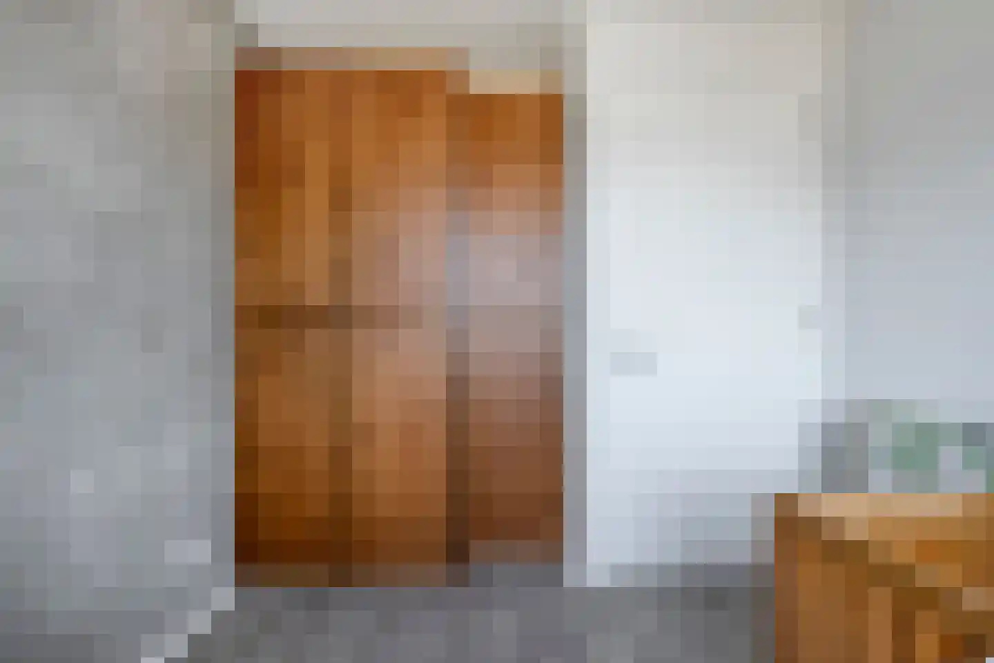 Slagerswerf 7 Dedemsvaart thumbnail 38