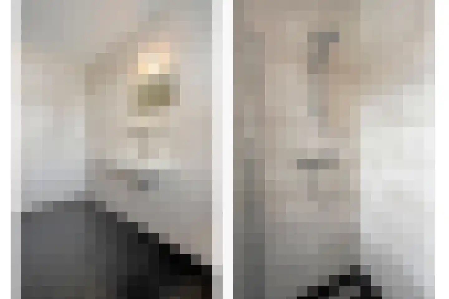 Slagerswerf 7 Dedemsvaart thumbnail 42