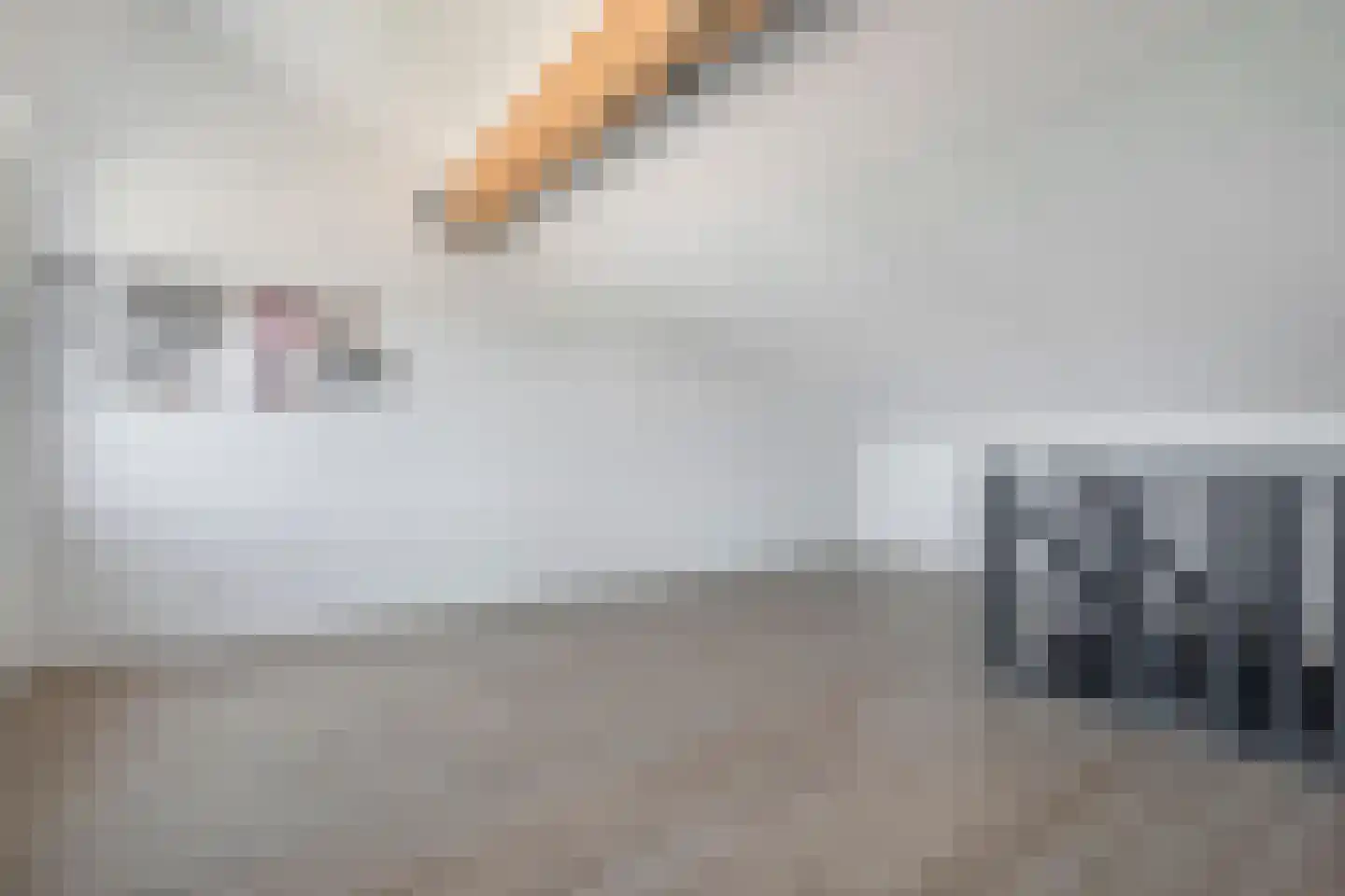 Slagerswerf 7 Dedemsvaart thumbnail 44