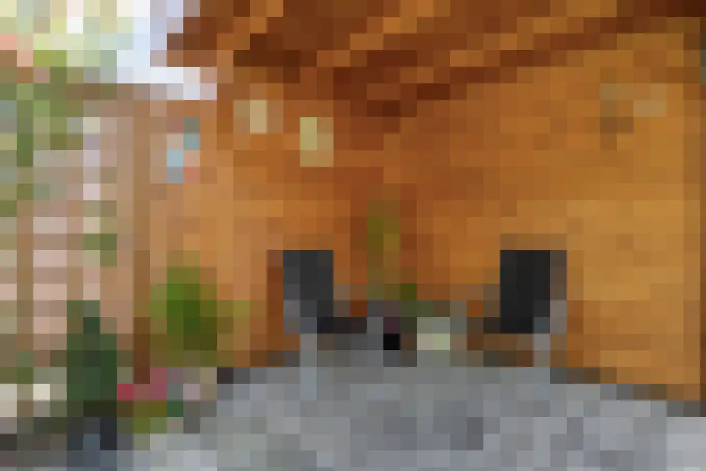 Slagerswerf 7 Dedemsvaart thumbnail 45