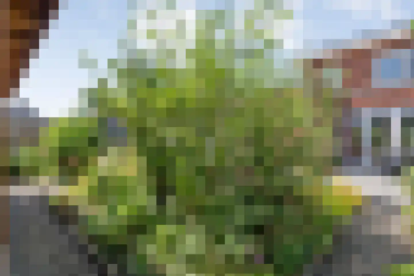 Slagerswerf 7 Dedemsvaart thumbnail 46