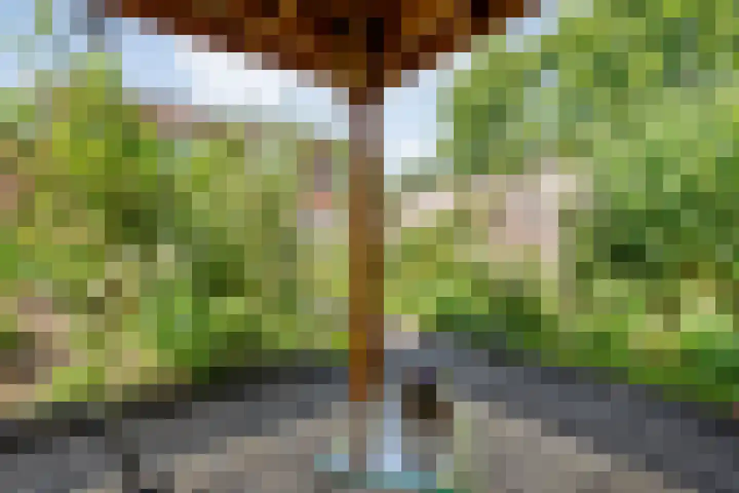 Slagerswerf 7 Dedemsvaart thumbnail 47