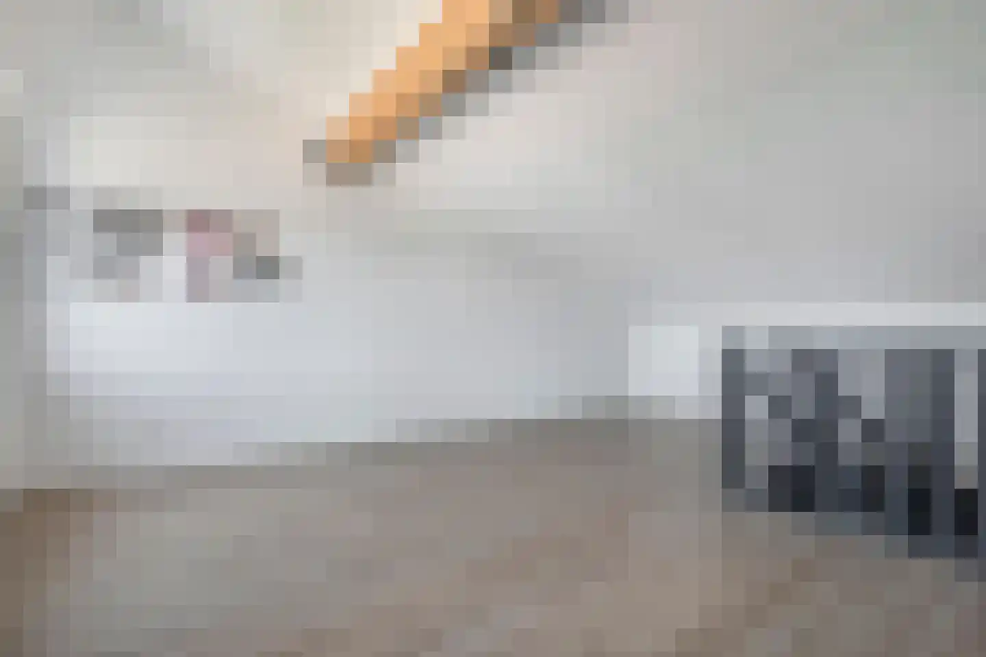 Slagerswerf 7 Dedemsvaart thumbnail 47