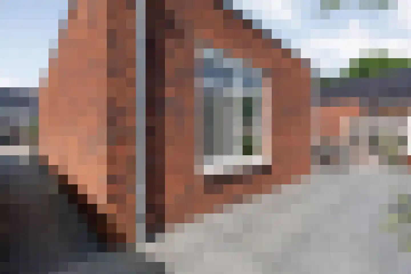 Slagerswerf 7 Dedemsvaart thumbnail 50
