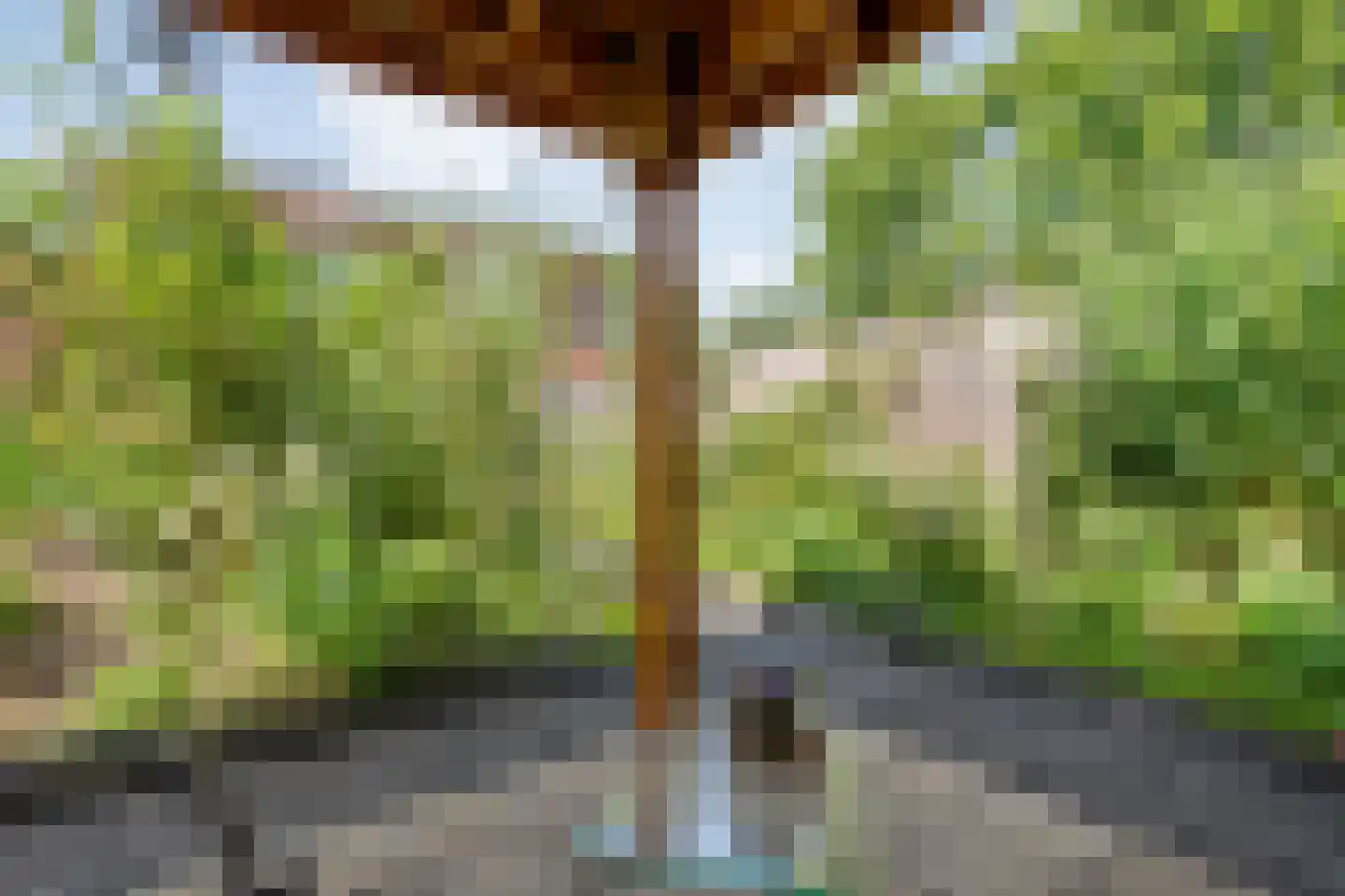 Slagerswerf 7 Dedemsvaart thumbnail 50