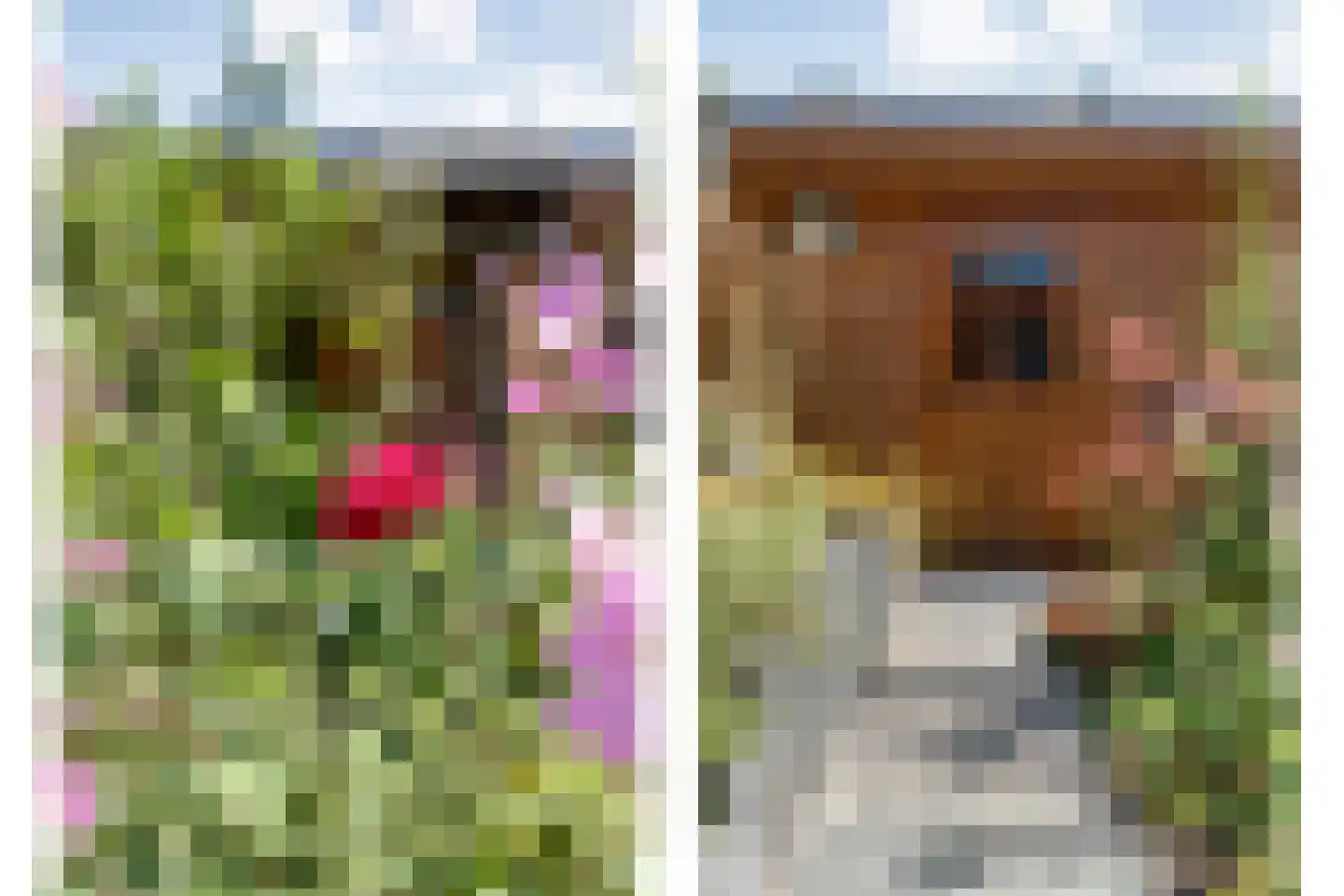 Slagerswerf 7 Dedemsvaart thumbnail 52