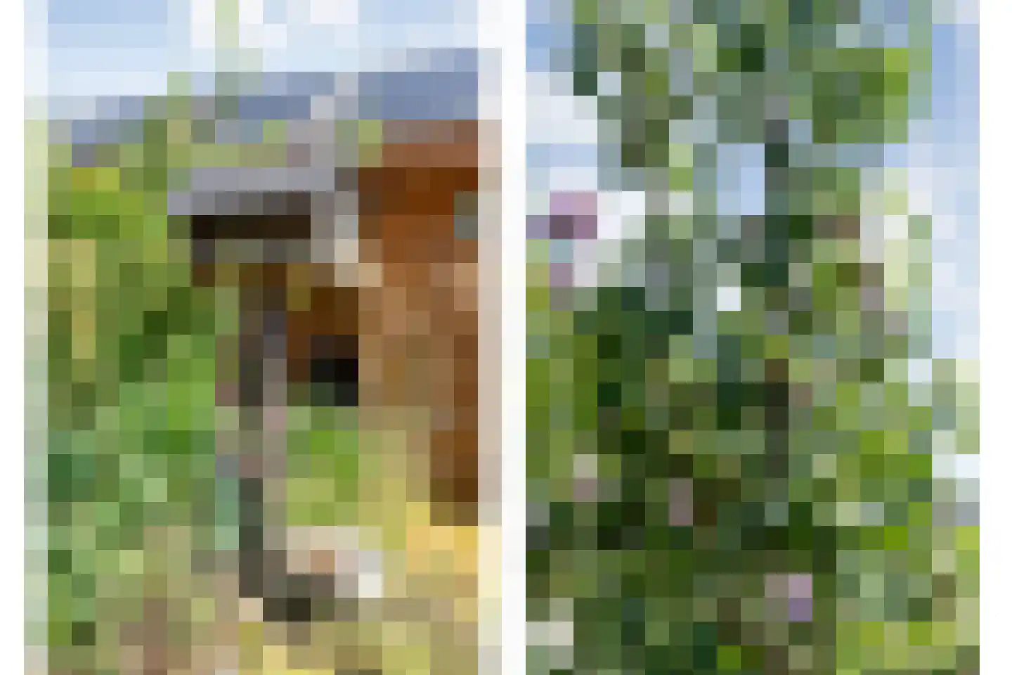 Slagerswerf 7 Dedemsvaart thumbnail 53