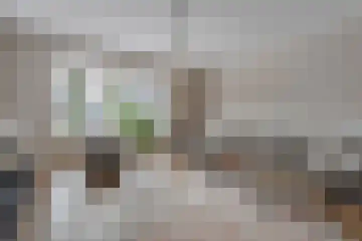 Slagerswerf 8 Dedemsvaart thumbnail 11