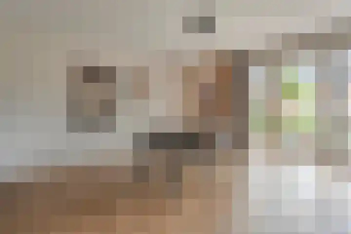 Slagerswerf 8 Dedemsvaart thumbnail 14