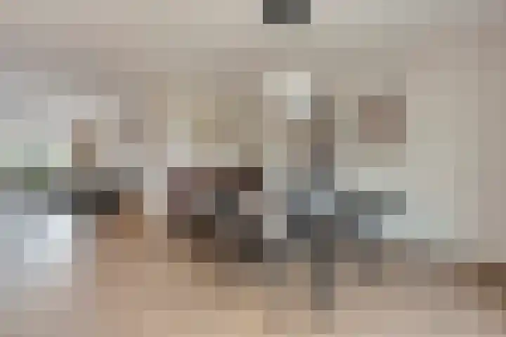 Slagerswerf 8 Dedemsvaart thumbnail 16