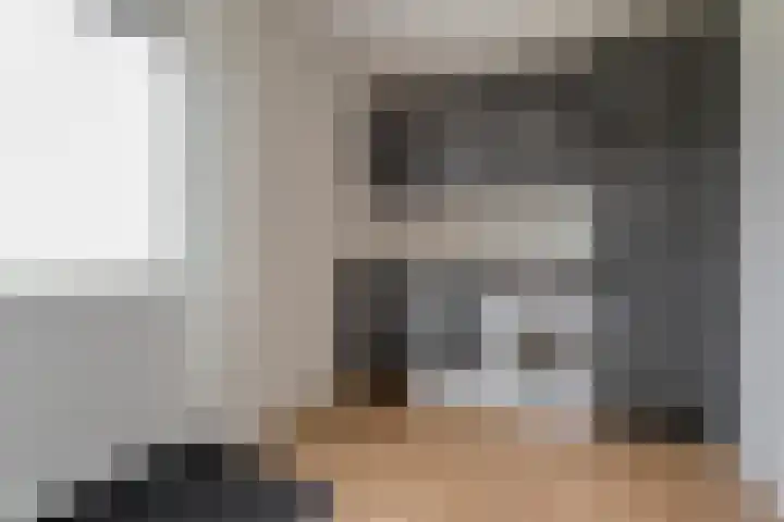 Slagerswerf 8 Dedemsvaart thumbnail 17
