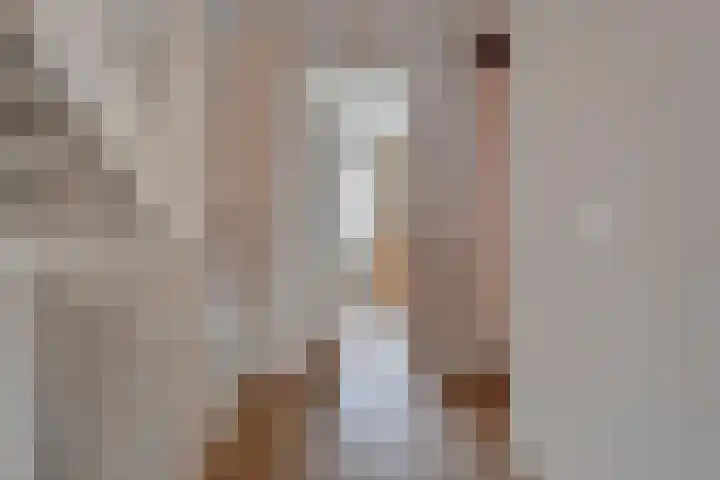 Slagerswerf 8 Dedemsvaart thumbnail 19