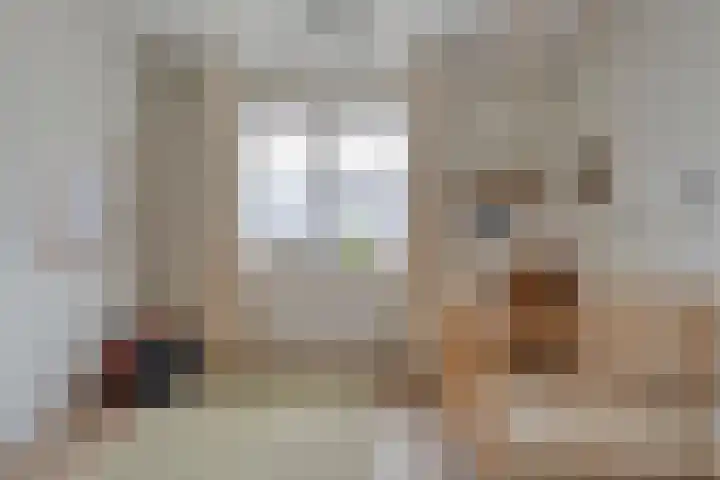 Slagerswerf 8 Dedemsvaart thumbnail 20