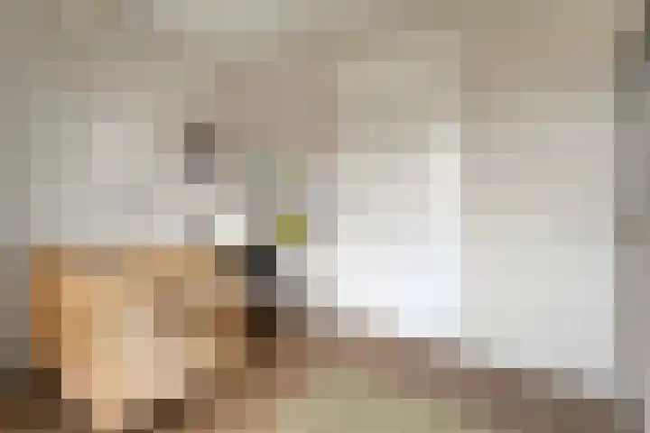 Slagerswerf 8 Dedemsvaart thumbnail 21