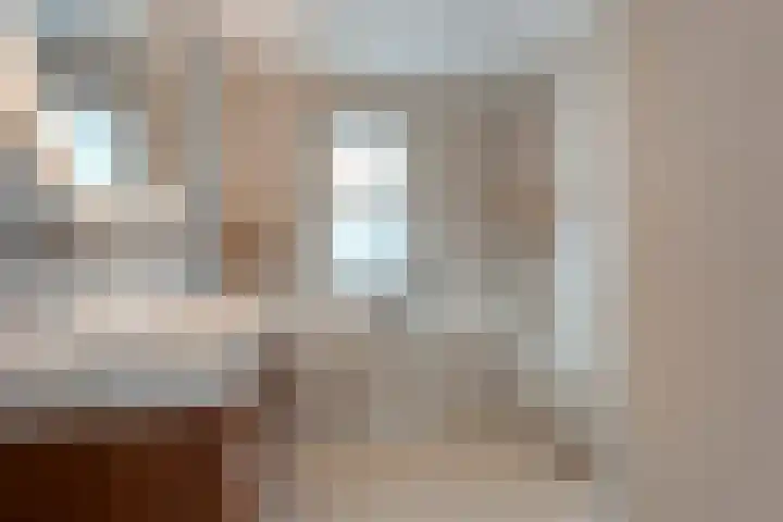 Slagerswerf 8 Dedemsvaart thumbnail 24