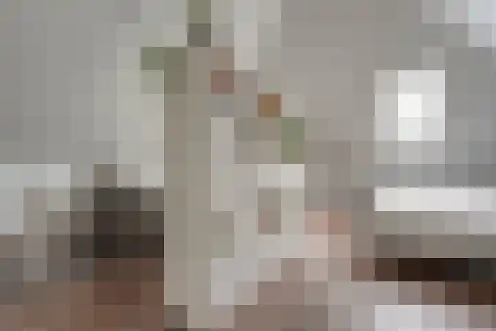 Slagerswerf 8 Dedemsvaart thumbnail 28