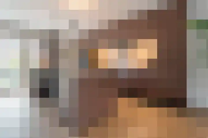 Slagerswerf 8 Dedemsvaart foto 3