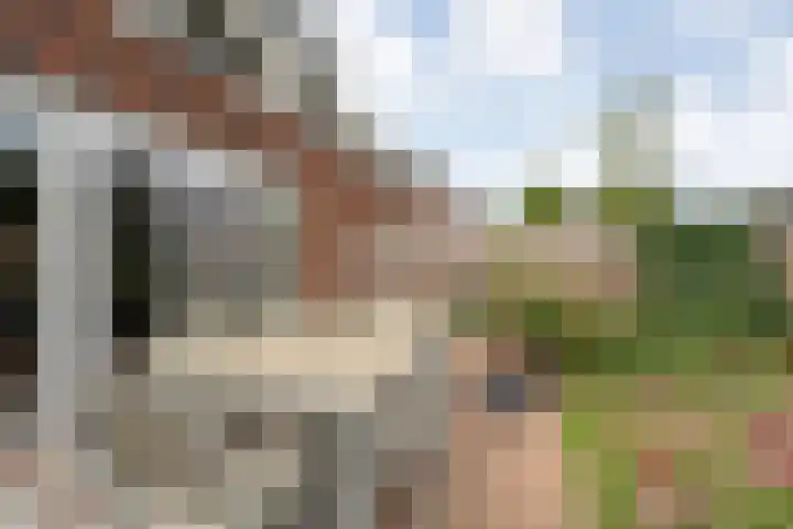 Slagerswerf 8 Dedemsvaart thumbnail 30