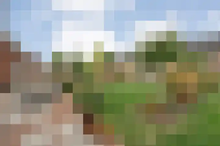 Slagerswerf 8 Dedemsvaart thumbnail 31
